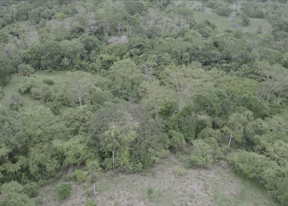 Reserva Manakai, bosque seco tropical, Córdoba. Vista aérea del fragmento y su borde de potrero: la forma exac