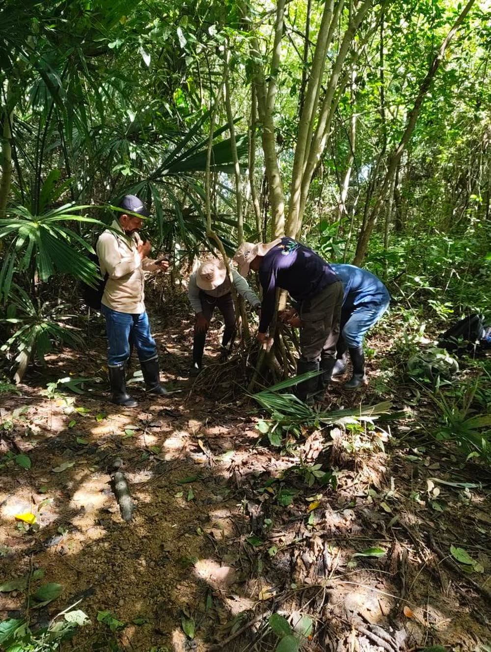 Recorrido de reconocimiento con habitantes del territorio para decidir dónde van las estaciones de escucha. La
