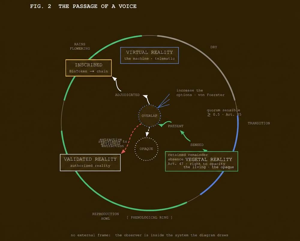 «El paso de una voz», diagrama del sistema. Una voz del bosque atraviesa el anillo fenológico hasta ser inscri