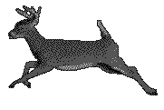 Deeranim